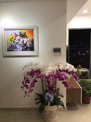 Apartment for rent  D2143950 (1)